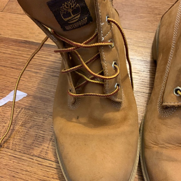 Timberlands - Picture 6 of 7